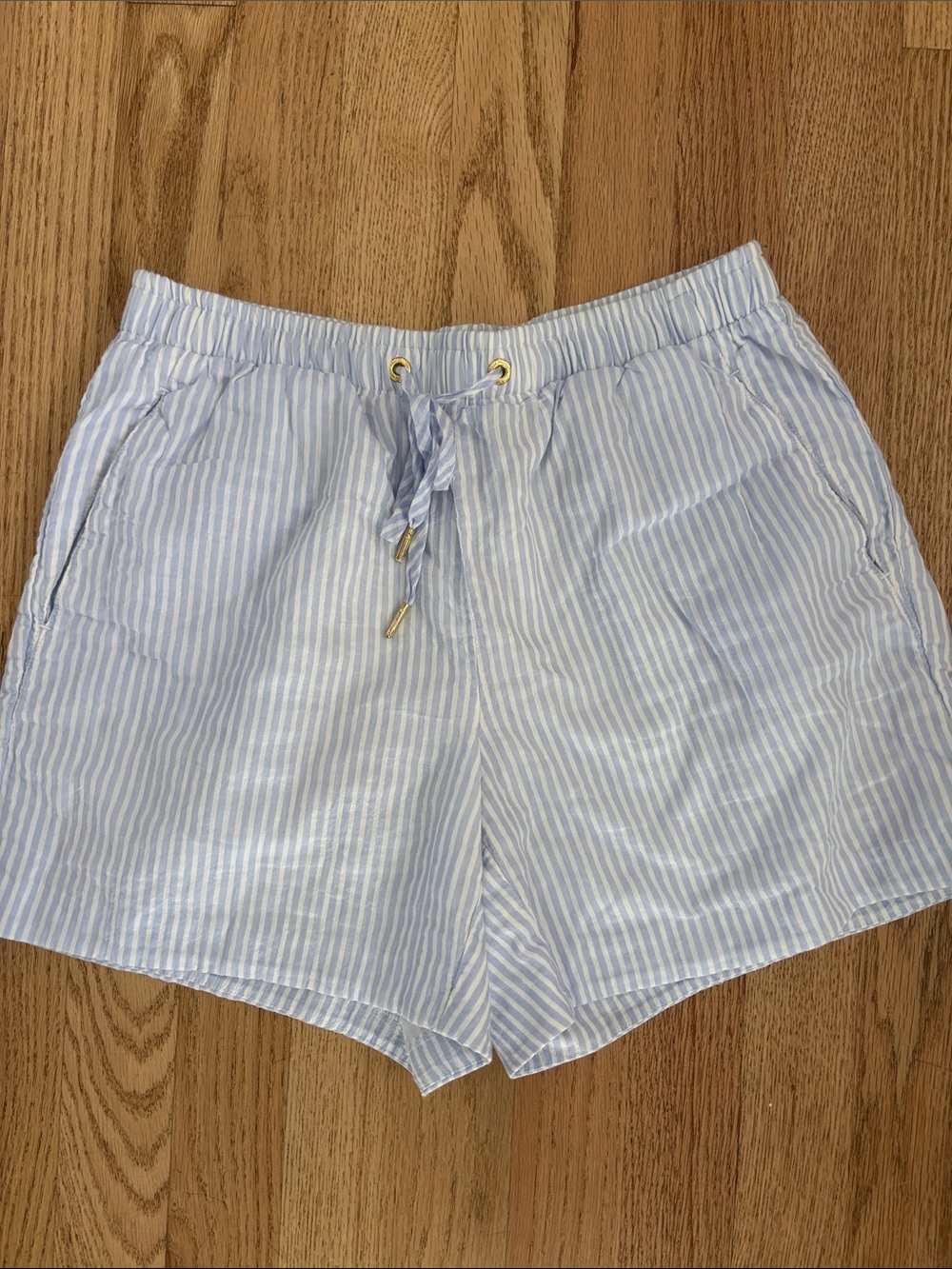 Lilly Pulitzer Light Blue and White Stripe Shorts XS